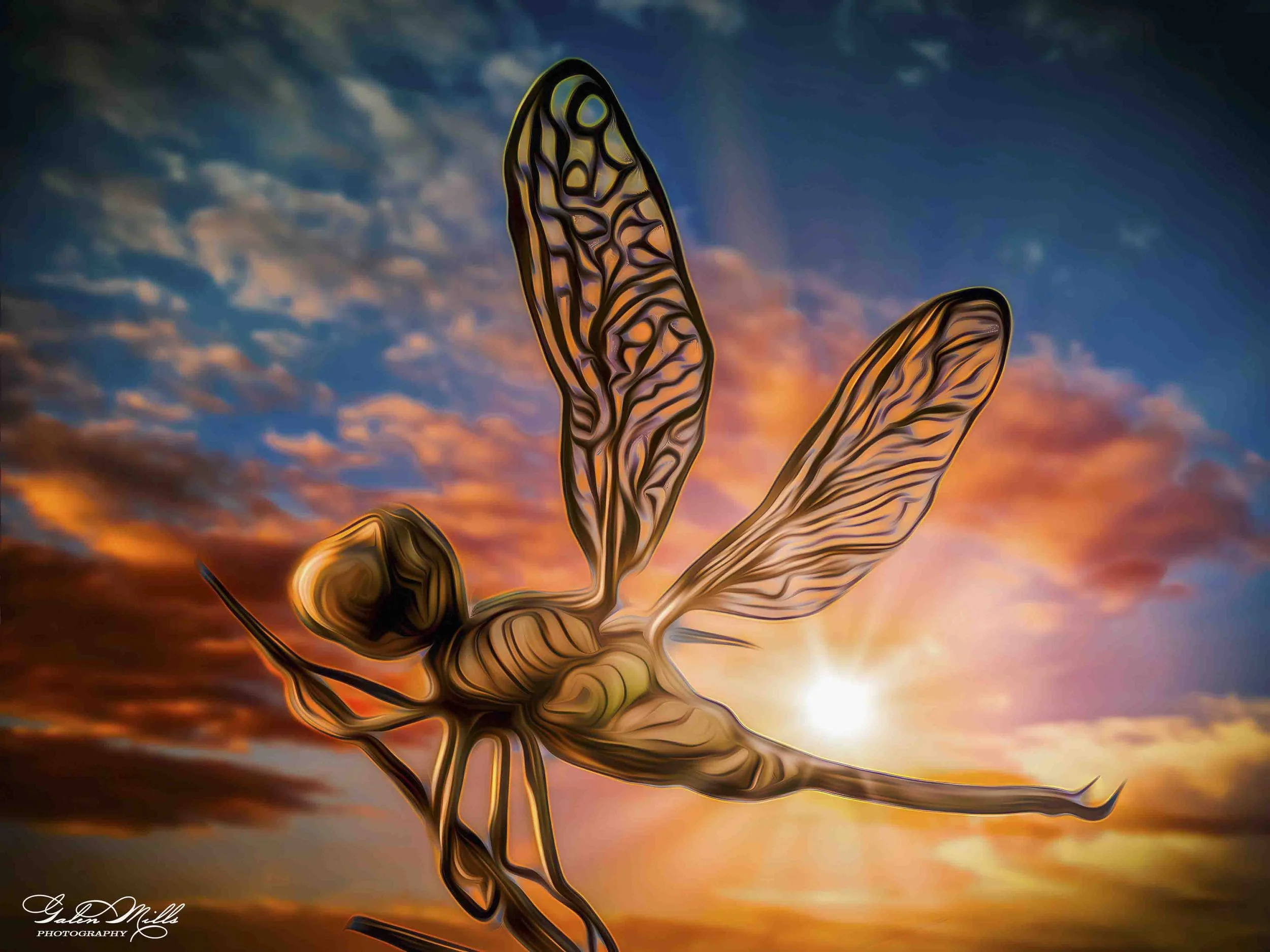 SS Photo Art -77.jpg