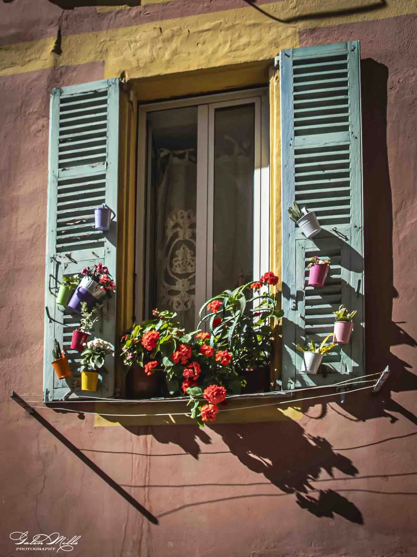 A window with turquoise shutters on a pink and yellow wall, decorated with potted plants including red flowers, with shadows cast on the ground.