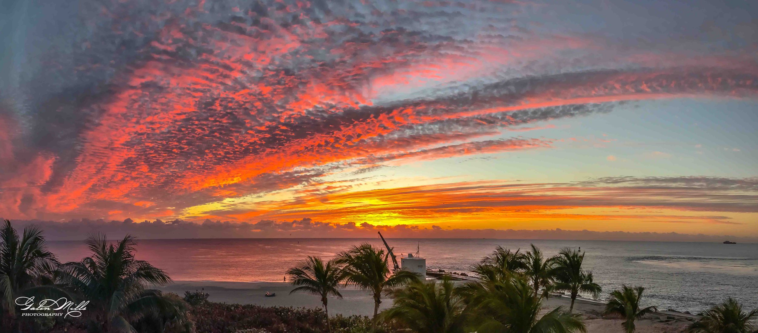 Colorful sunset over the ocean with pink, orange, and yellow clouds and silhouettes of palm trees on the beach.