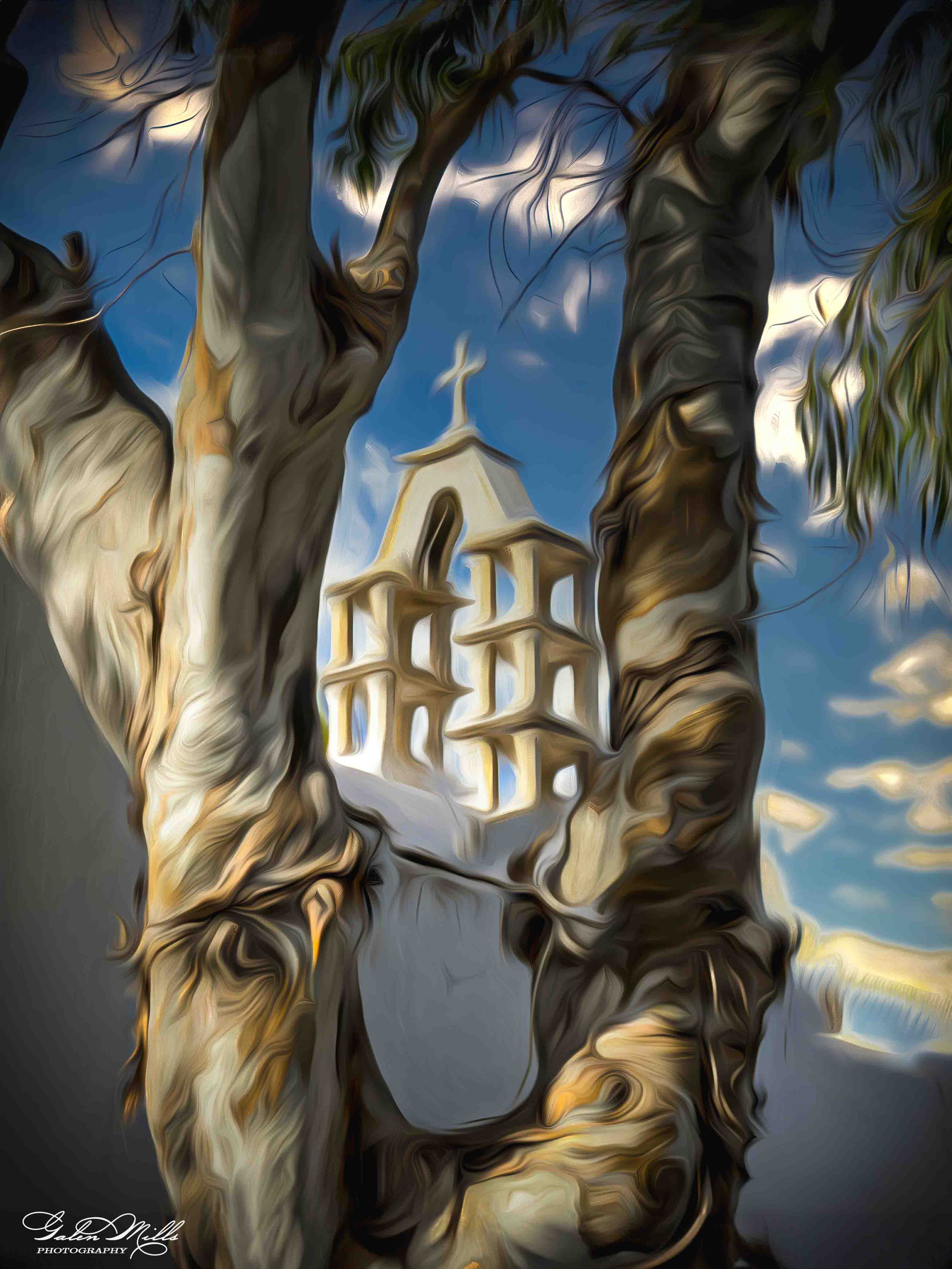 SS Photo Art -8.jpg