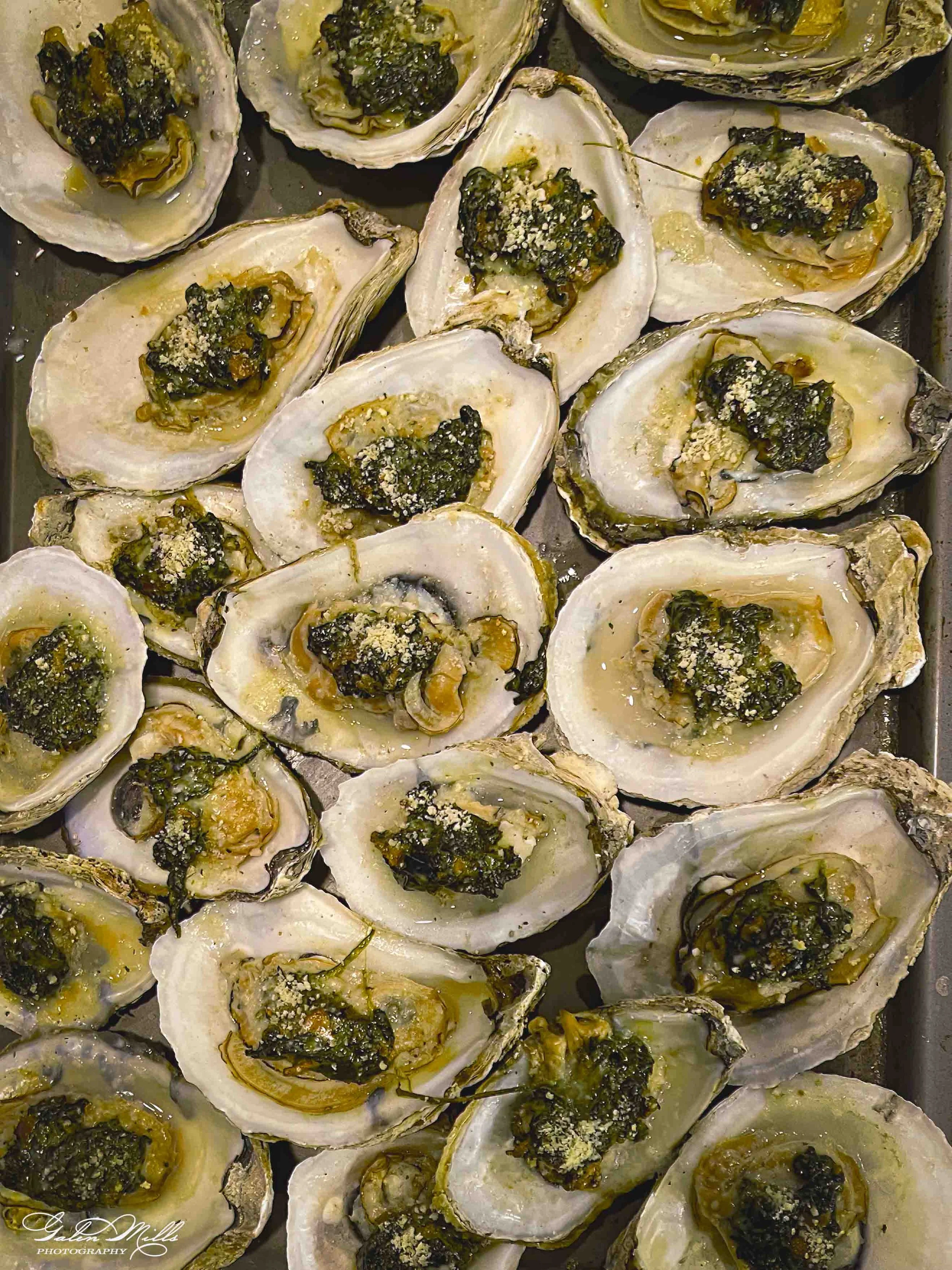 Multiple oyster shells filled with a seasoned mixture, topped with herbs and grated cheese, arranged in a tray for baking.