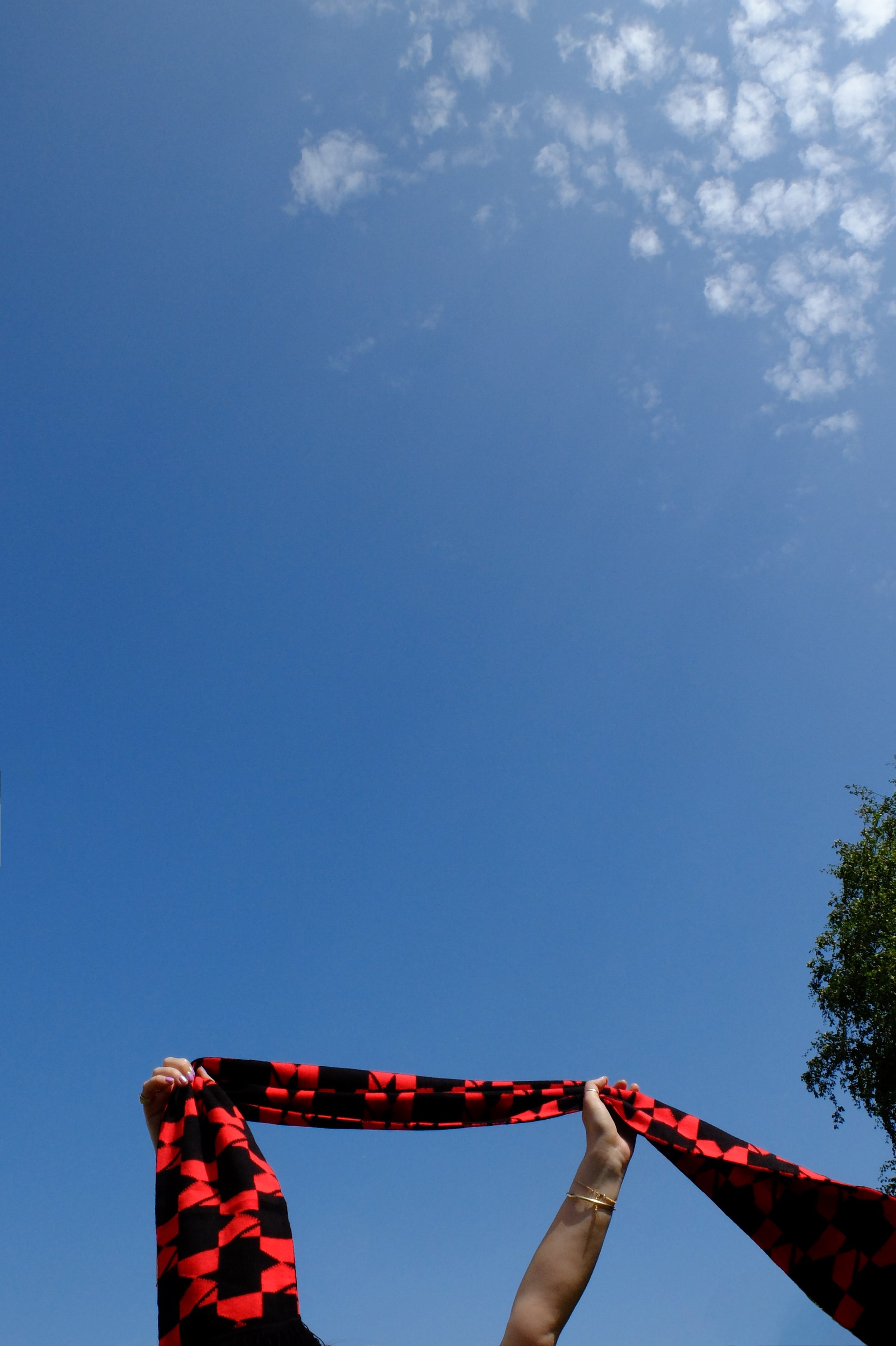 DSCF3427.jpg