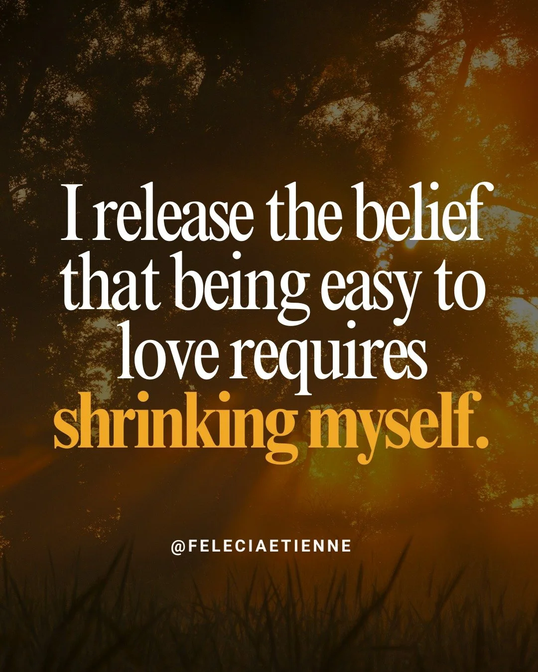 Say this before your next meeting, sales call, or tough conversation. 

&ldquo;I release the belief that being easy to love requires shrinking myself.&rdquo;

You don&rsquo;t need to earn your right to be supported, heard, or respected.

Your presenc