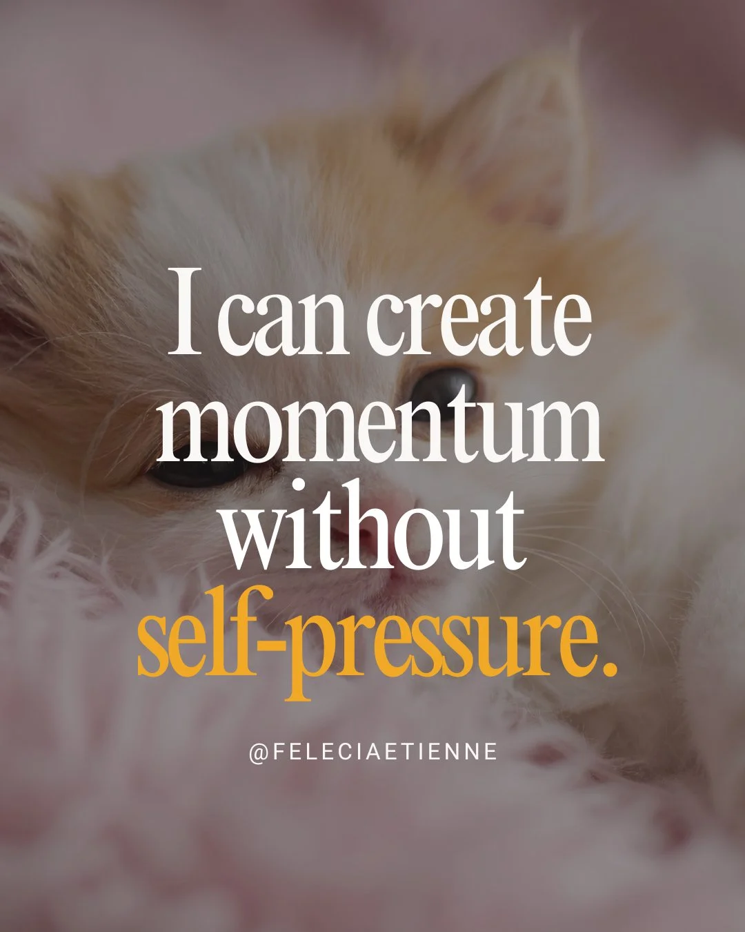 I can create momentum&hellip; without self-pressure.

Not by forcing it.
Not by waiting until it feels urgent.

But by working from a place that&rsquo;s steady, not strained.

Because pressure might get you moving but it&rsquo;s not what keeps you co