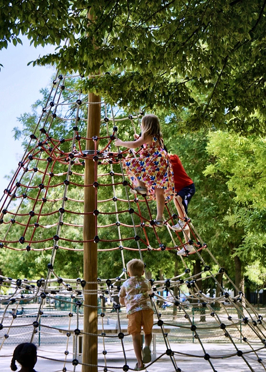 15_rope-climb.jpg