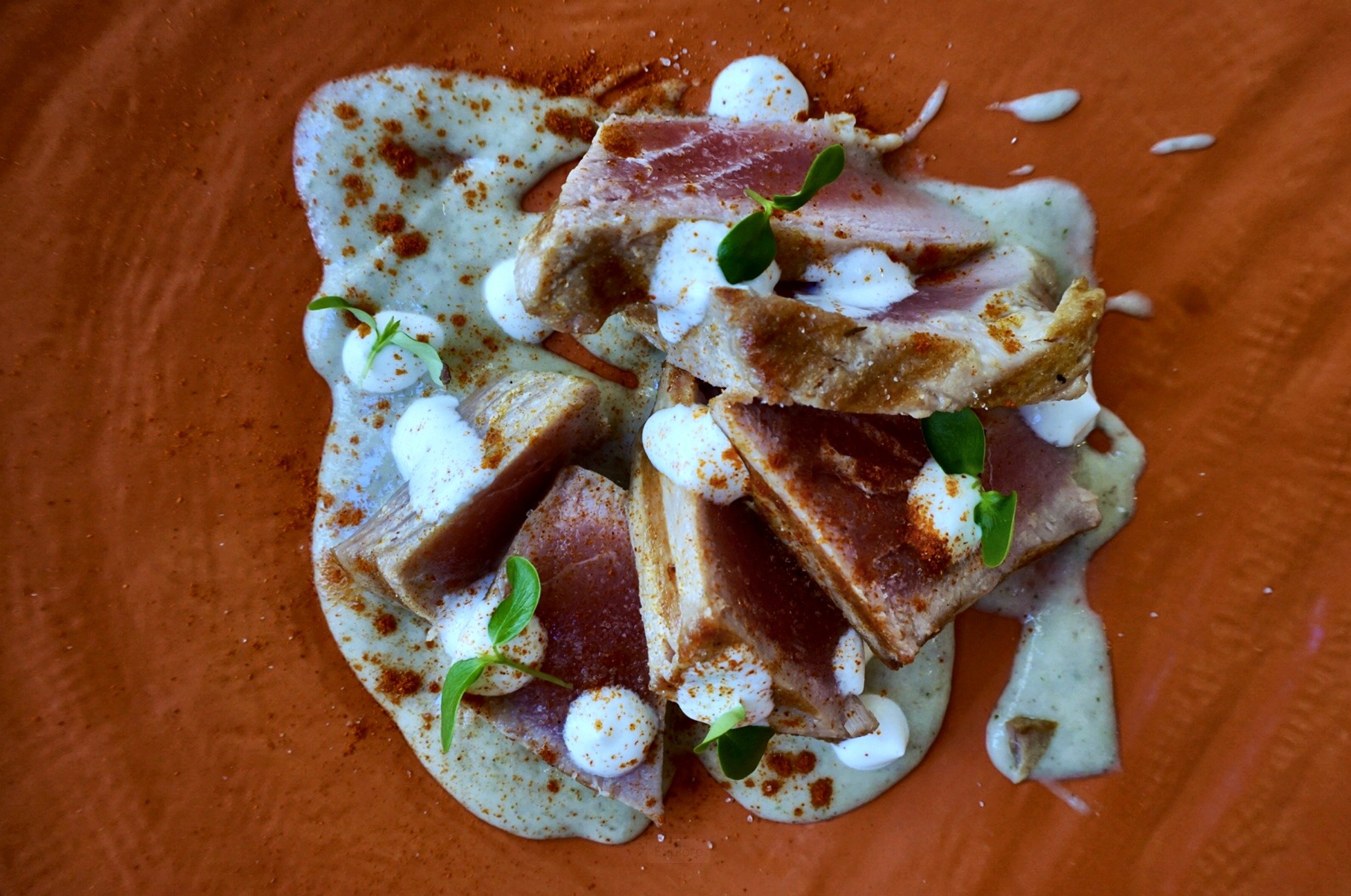 08_seared-tuna.jpg