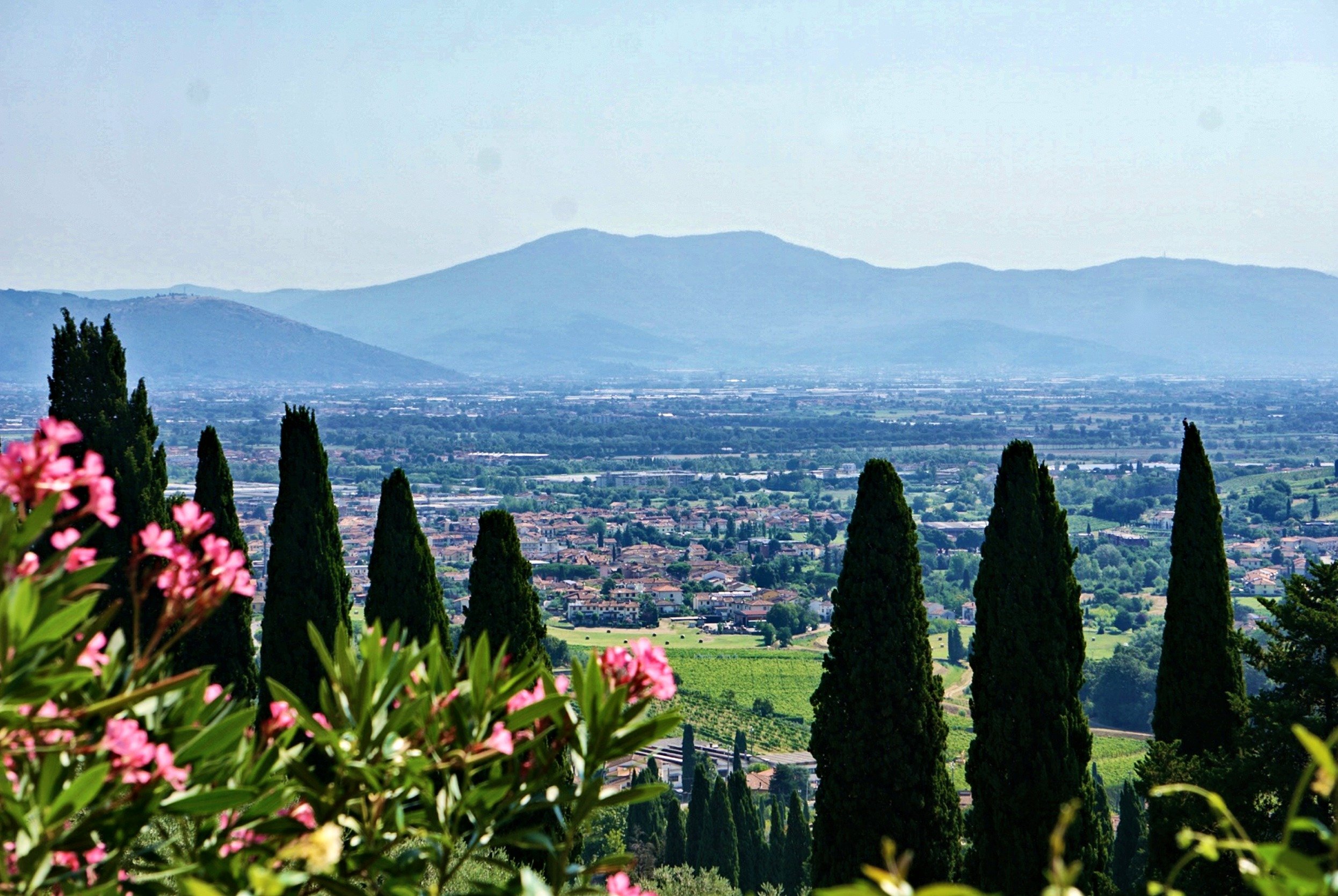 10_cypress-valley-zoom.jpg