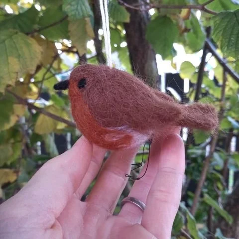 Robin felting workshop with Artist Jennifer Cunningham