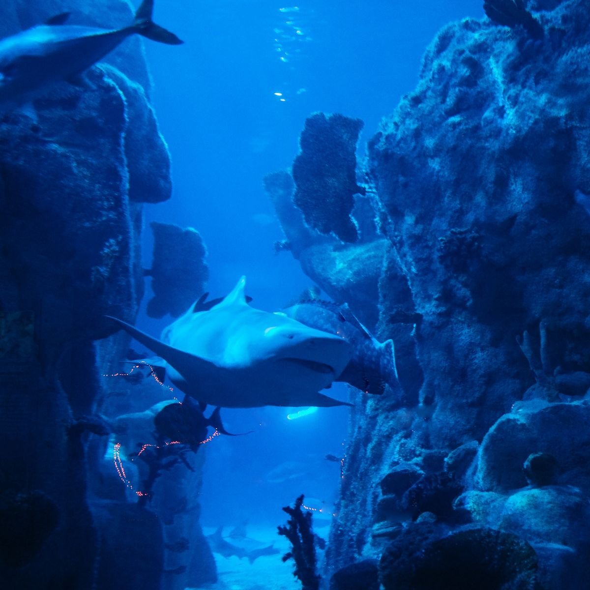 W5 on Tour: The Hunt – Extreme Existence | NISF Roadshow