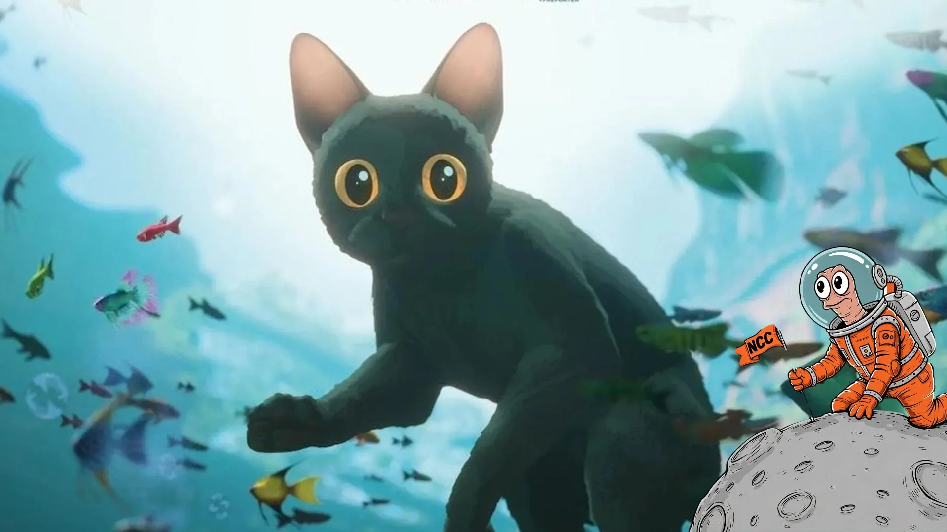 Flow ( Full Moon Film Festival ) 