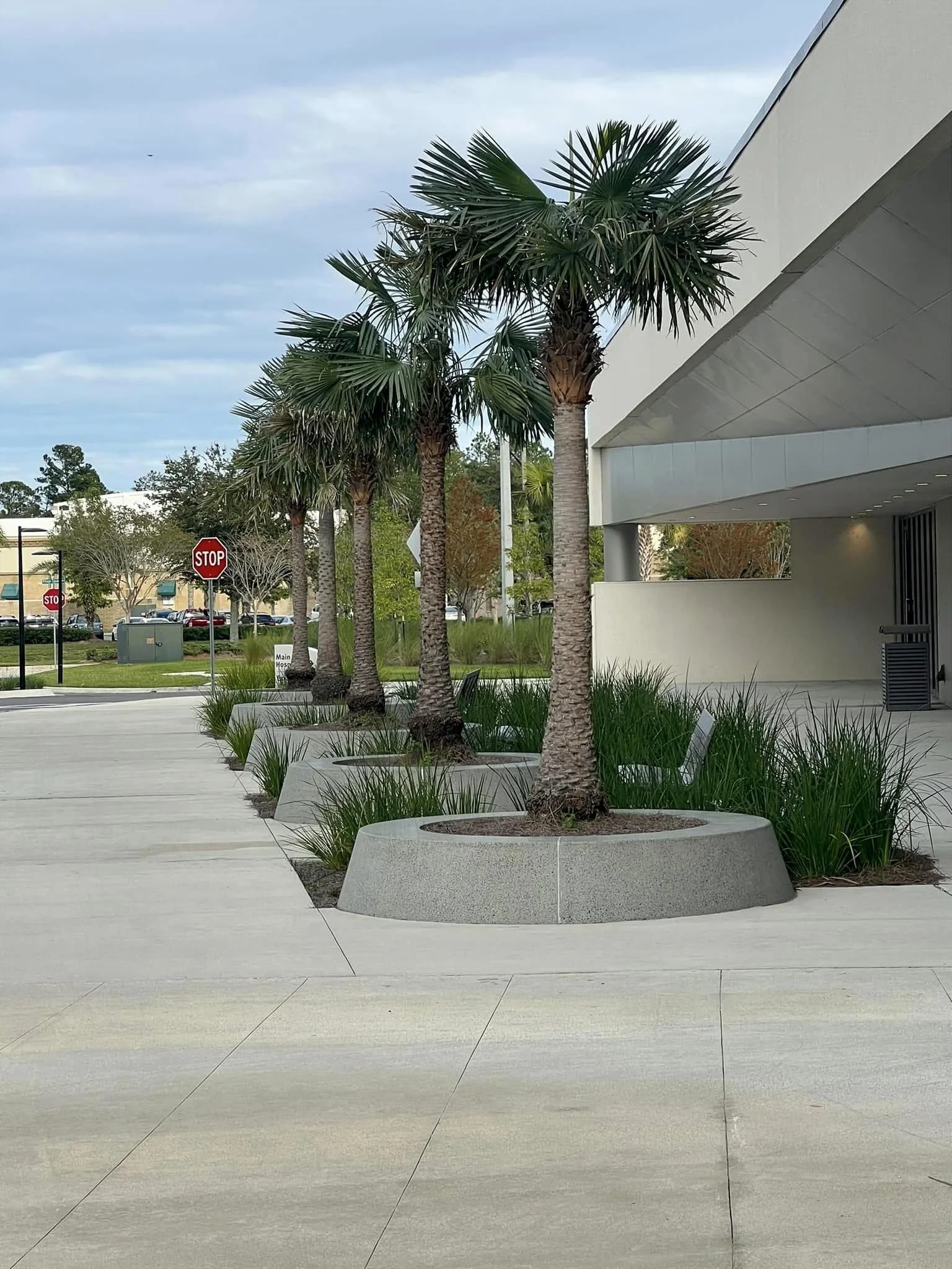 Large half-buried 6,000 pound tree rings down the side of the Baptist Medical Center (BMC) Clay in Fleming island with a palm tree in each one. 