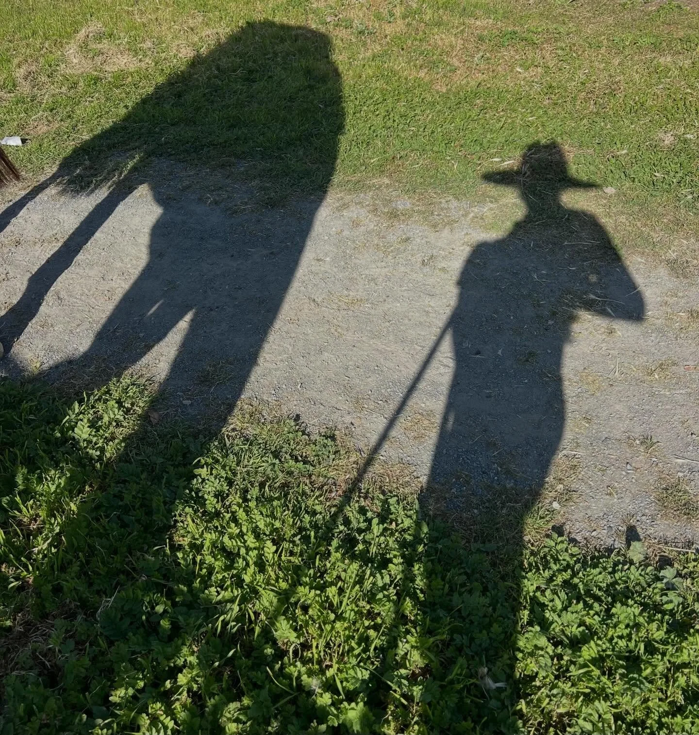 Just two best friends in their natural habitat 🫶🏼