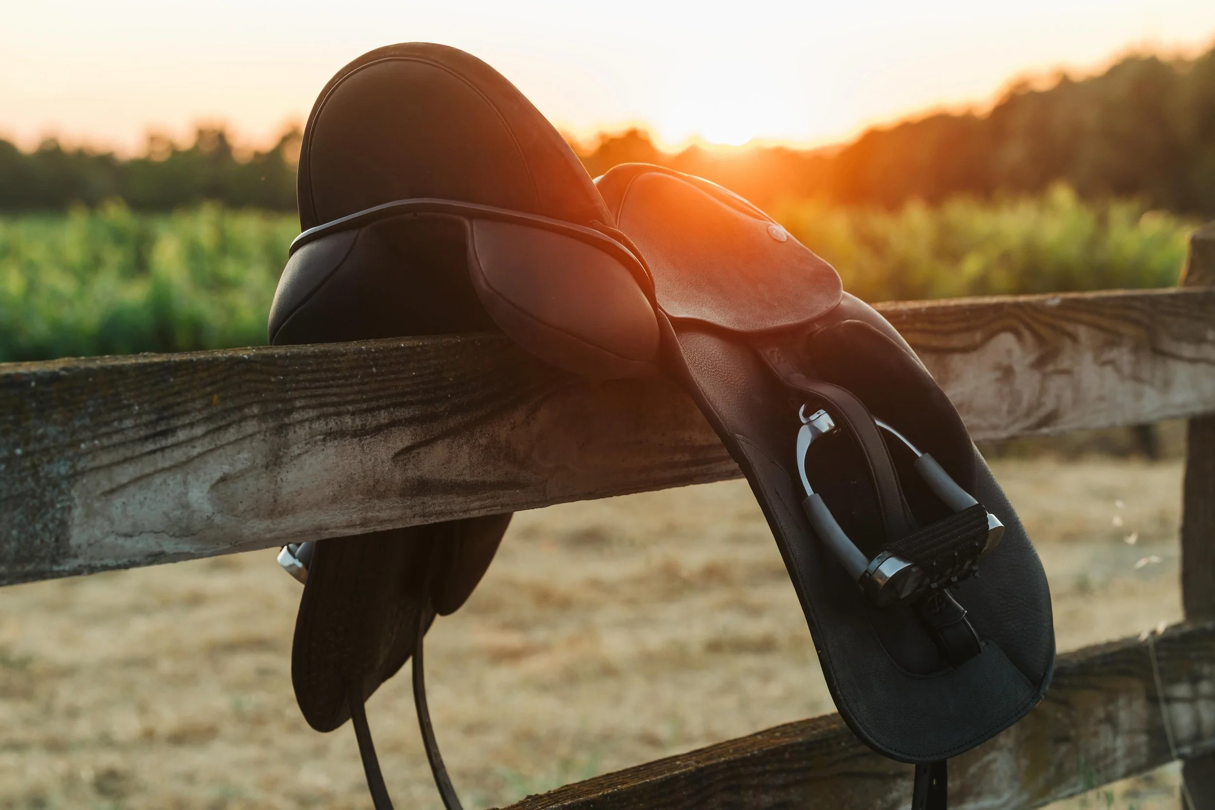 Since I seem to be on a role putting my training philosophies into writing, here I go again about saddle fitting and why I choose to work with @saddlerydresch and @julie.nelson.7355 ⬇️

My relationship with Julie and Dresch is rooted in a shared phil