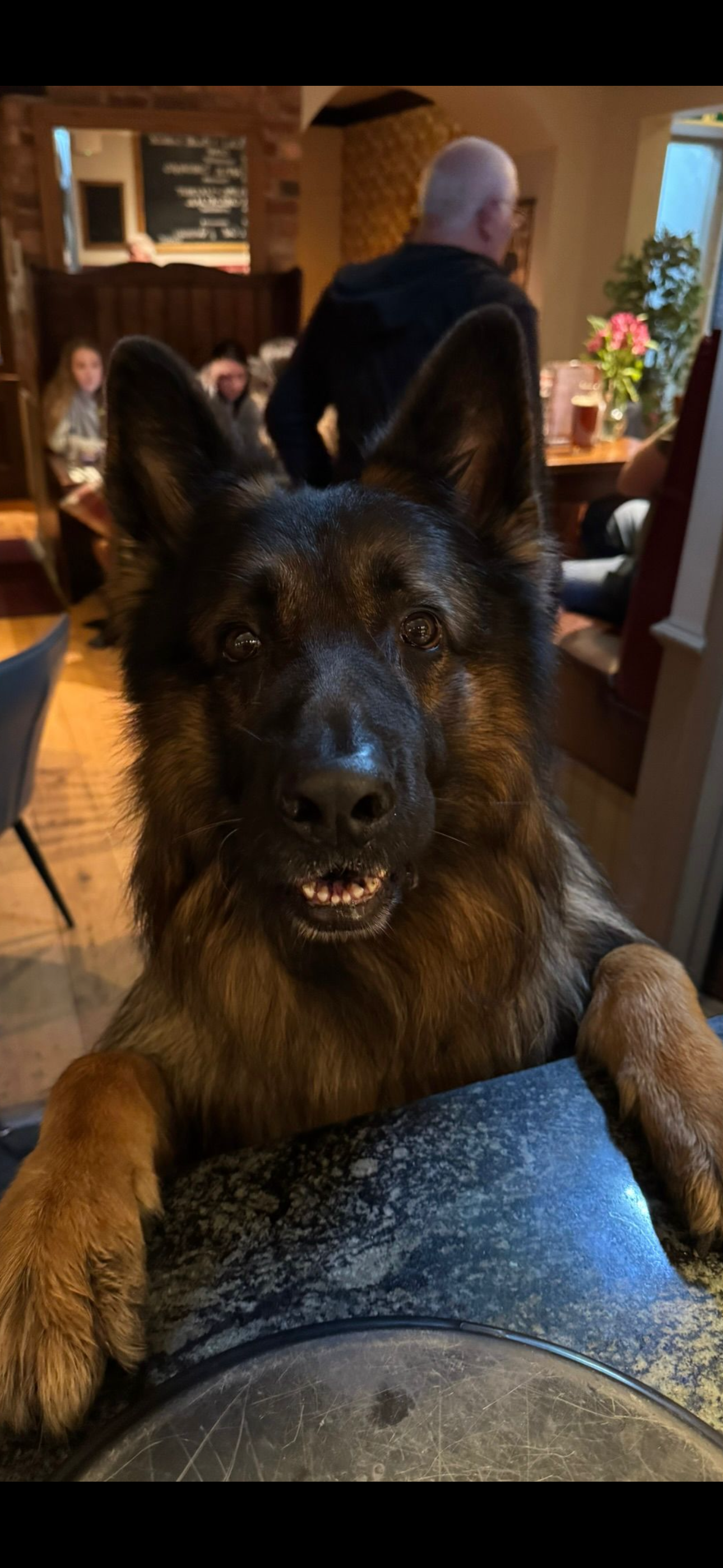 Braun - a pint please barkeep?