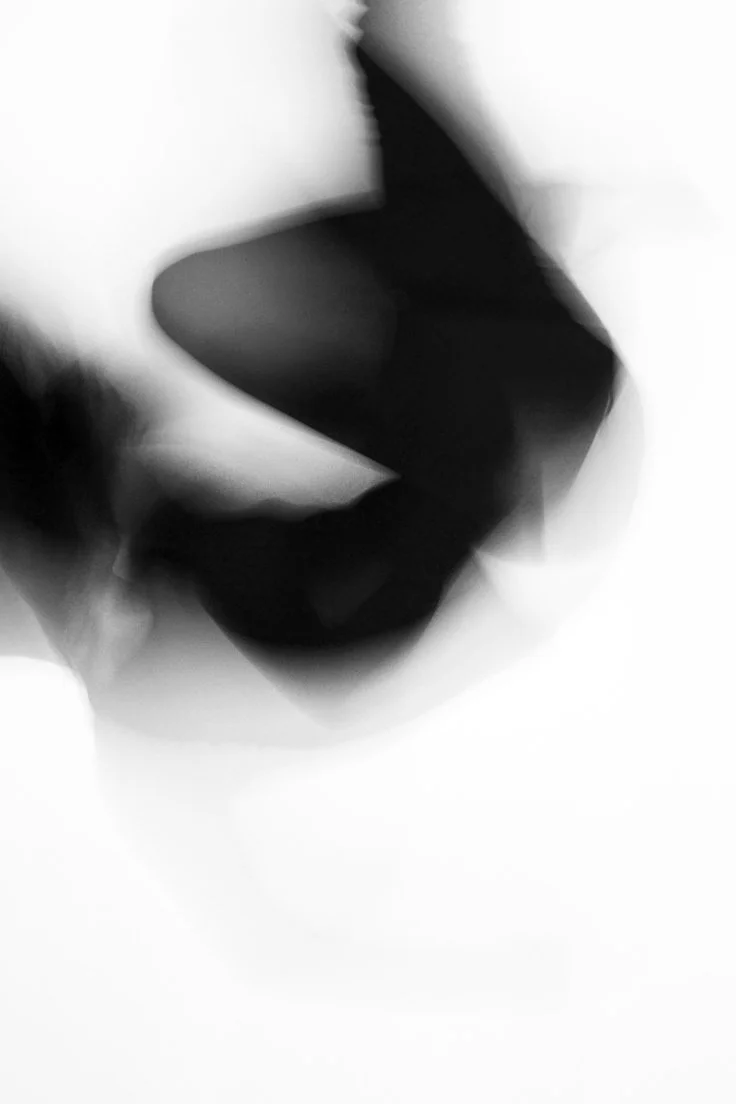 In Movement (#4), 2012, Archival Print on Canvas.jpeg