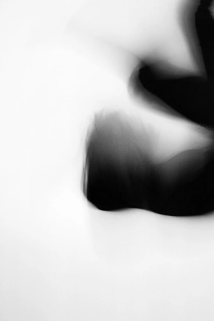 In Movement (#6), 2012, Archival Print on Canvas.jpeg