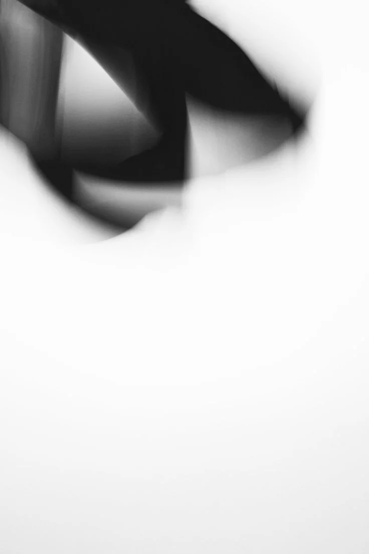 In Movement (#1), 2012, Archival Print on Canvas.jpeg