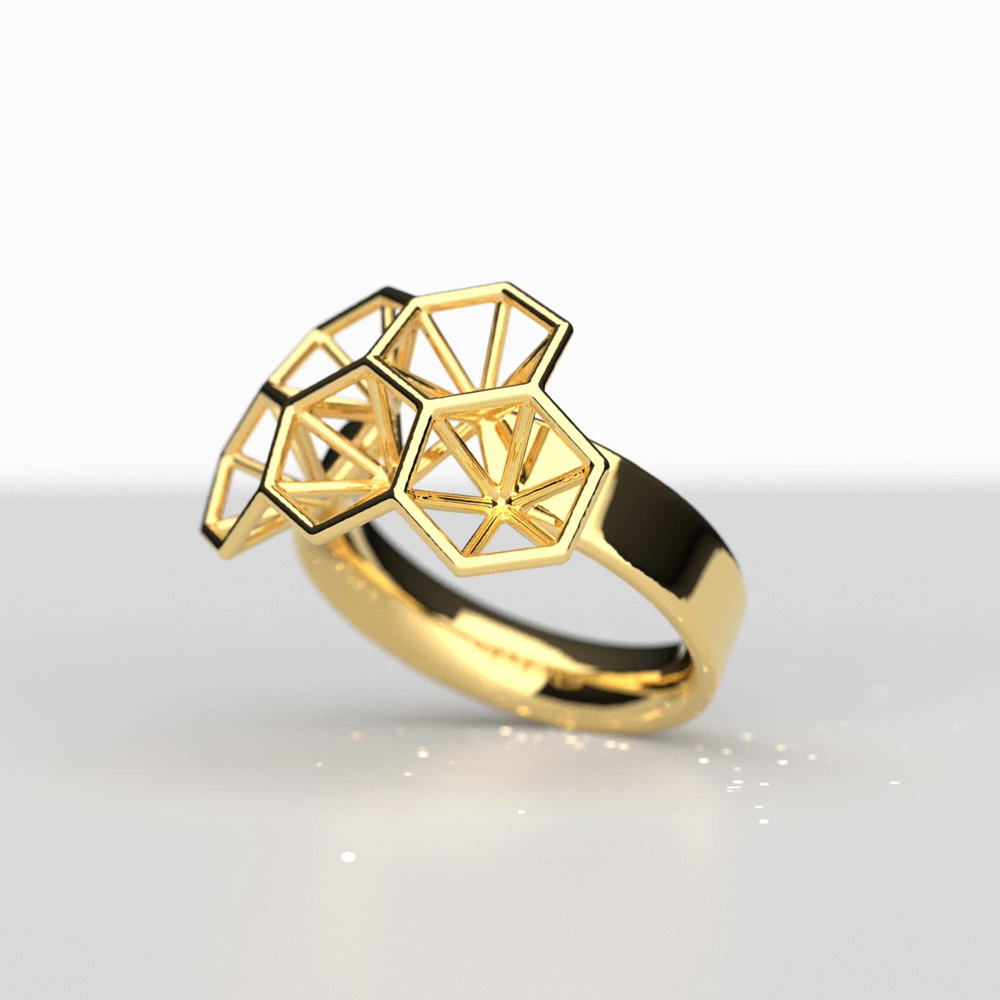 2001_ring5_g_3.jpg