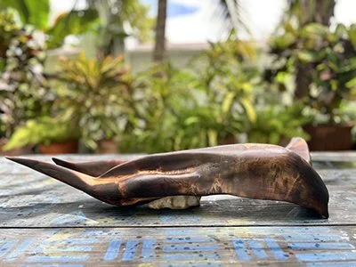 Sèvi-Tè 186b Whitesea Road POP1R0