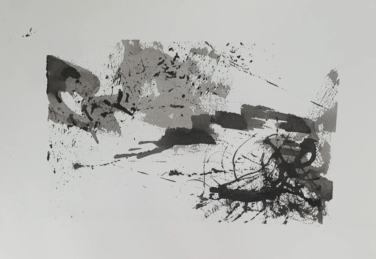 Ink 
Sea and Landscape on Paper
