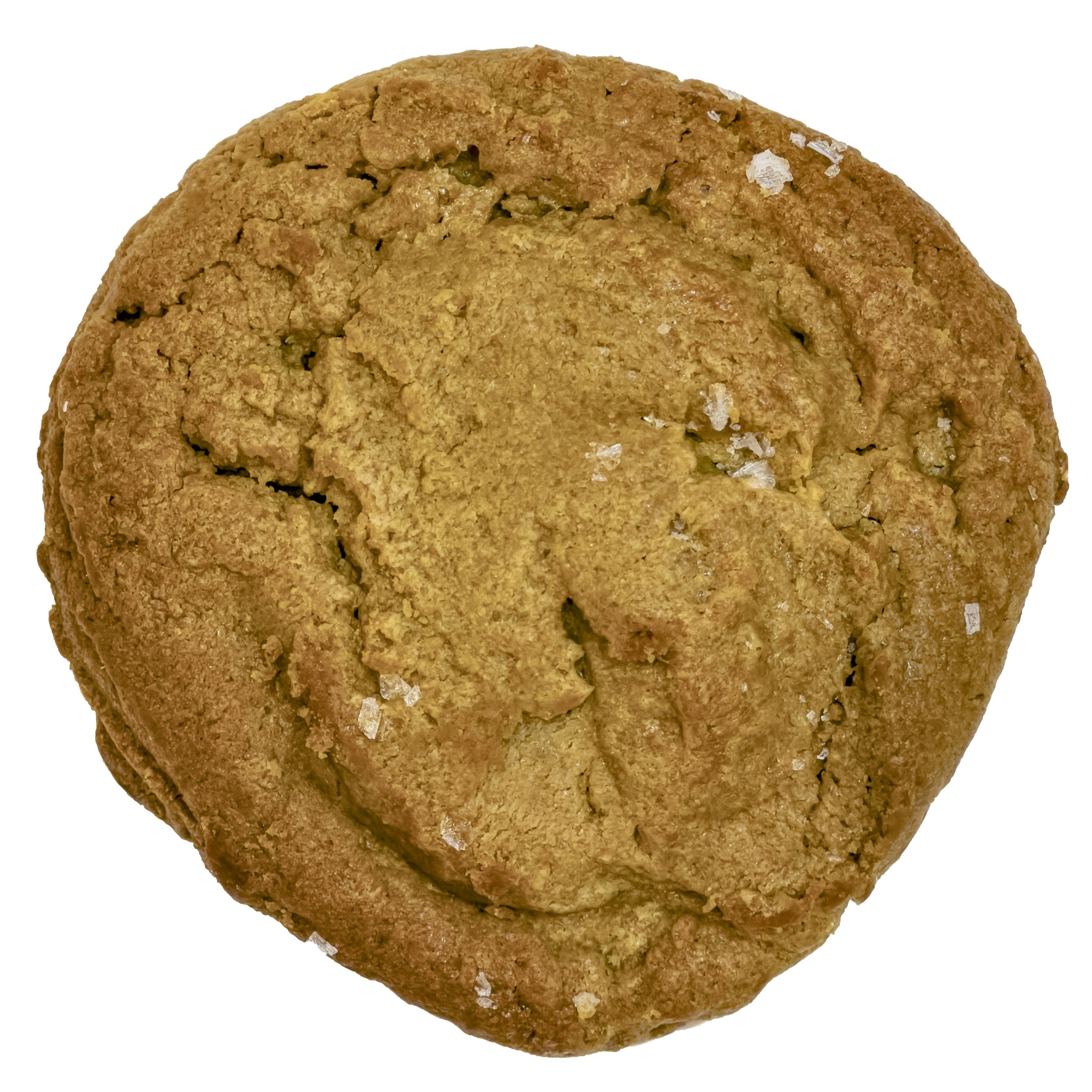 An overhead image of a peanut butter cookie with flecks of sea salt against a field of white.