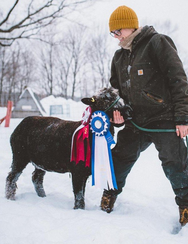 'Xander', 2025 Reserve Grand Champion Fleece at the Royal Agricultural Winter Fair.