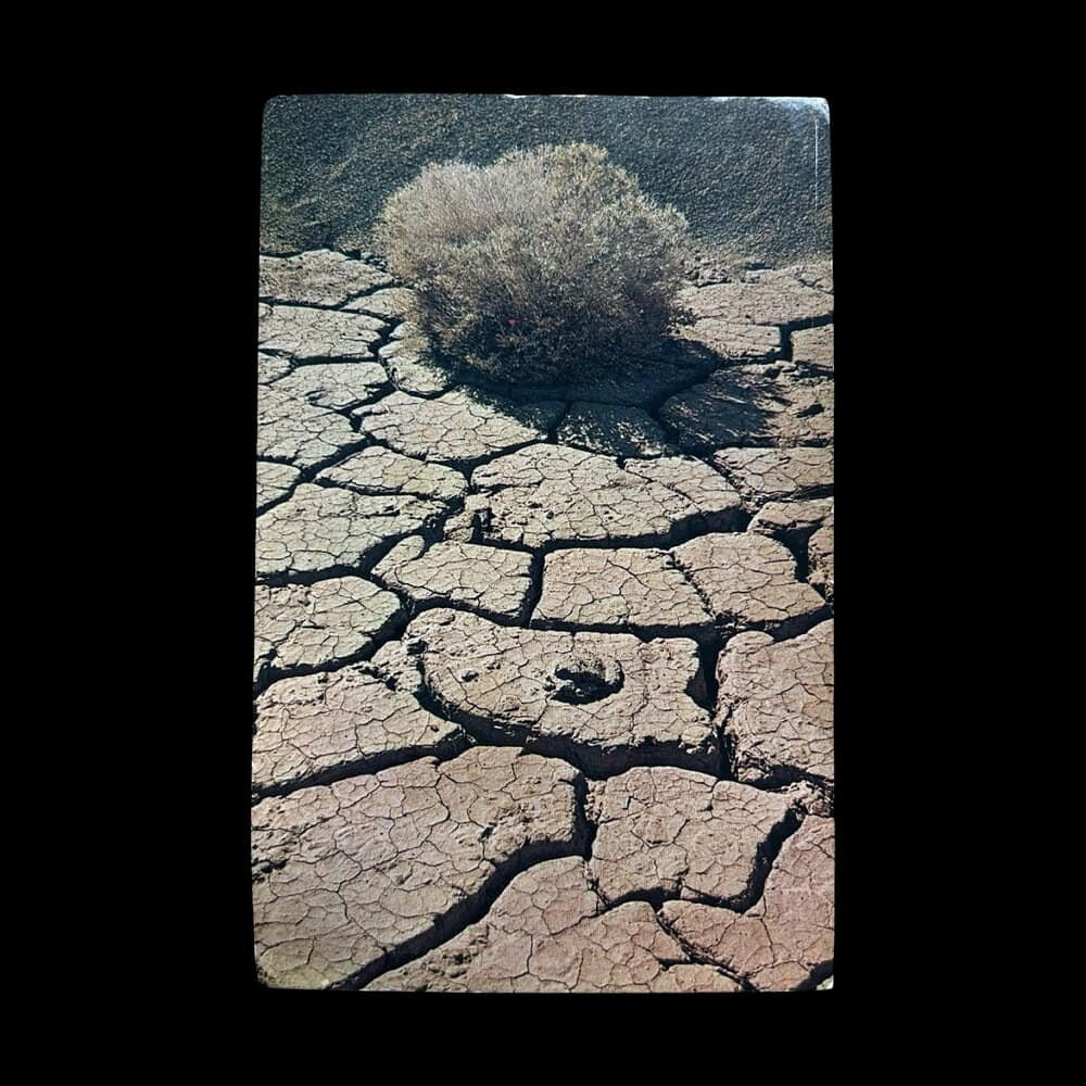 pixelcut_5.jpg