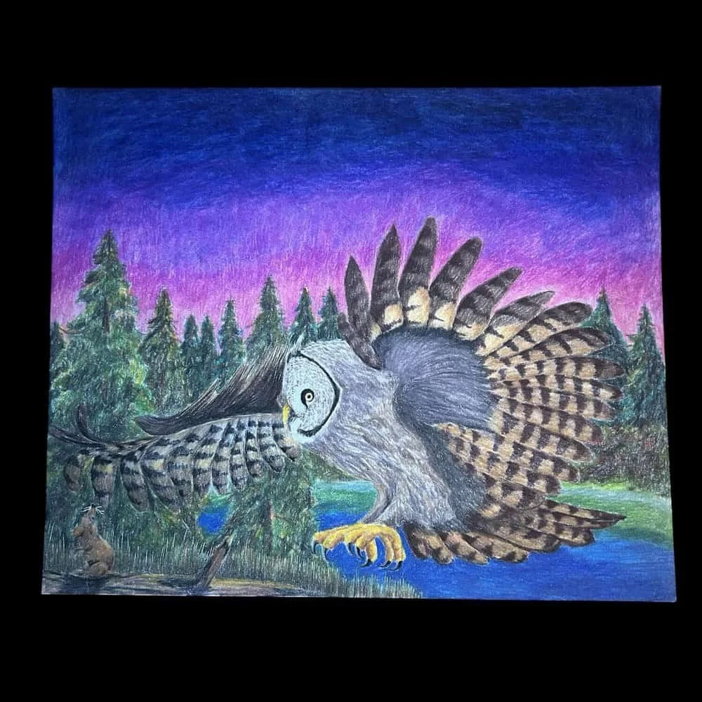 Keith Jesperson - Owl - Drawing