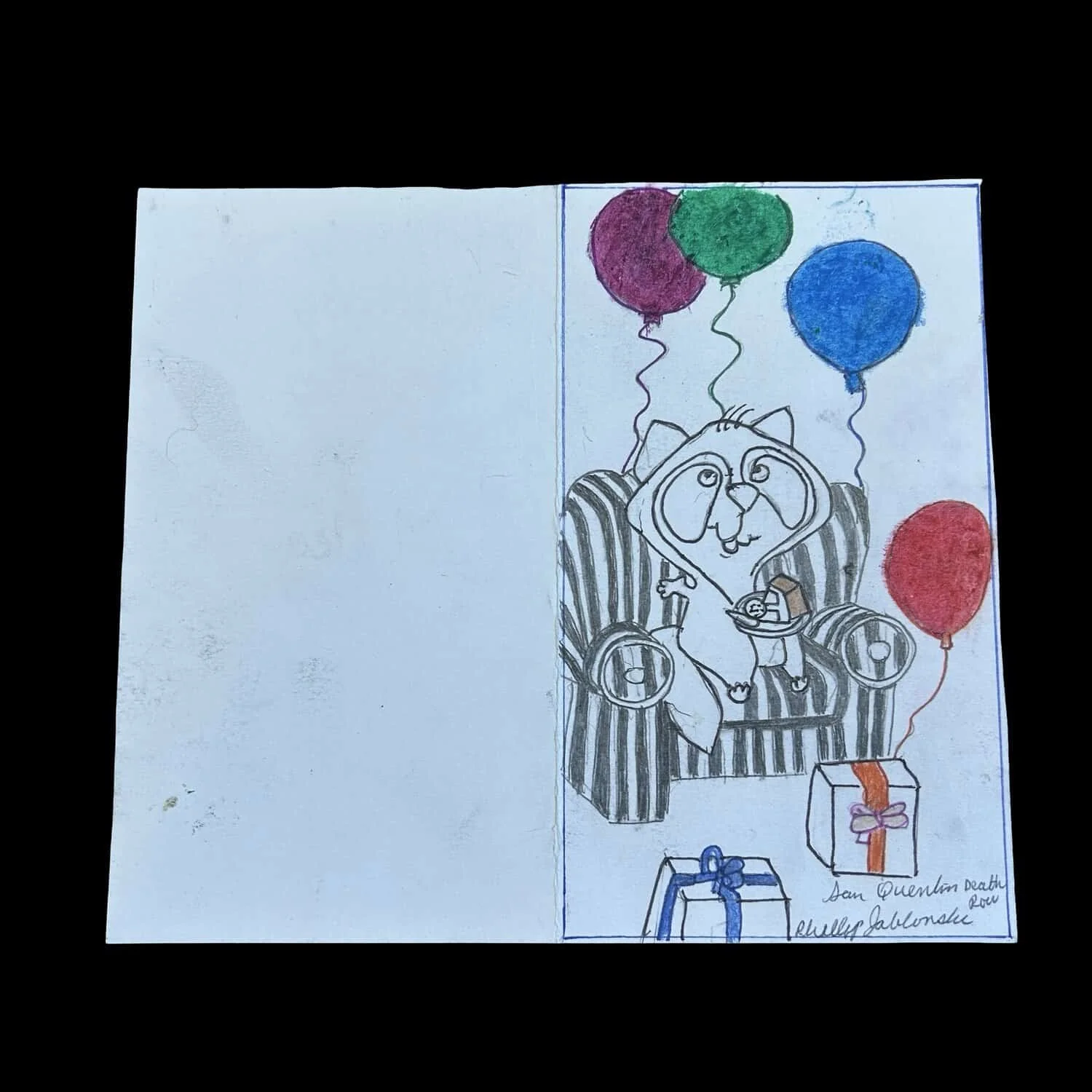 Phillip Jablonski - Raccoon Artwork