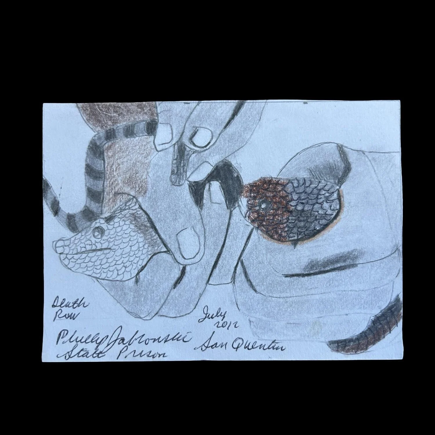 Phillip Jablonski - Snake Artwork