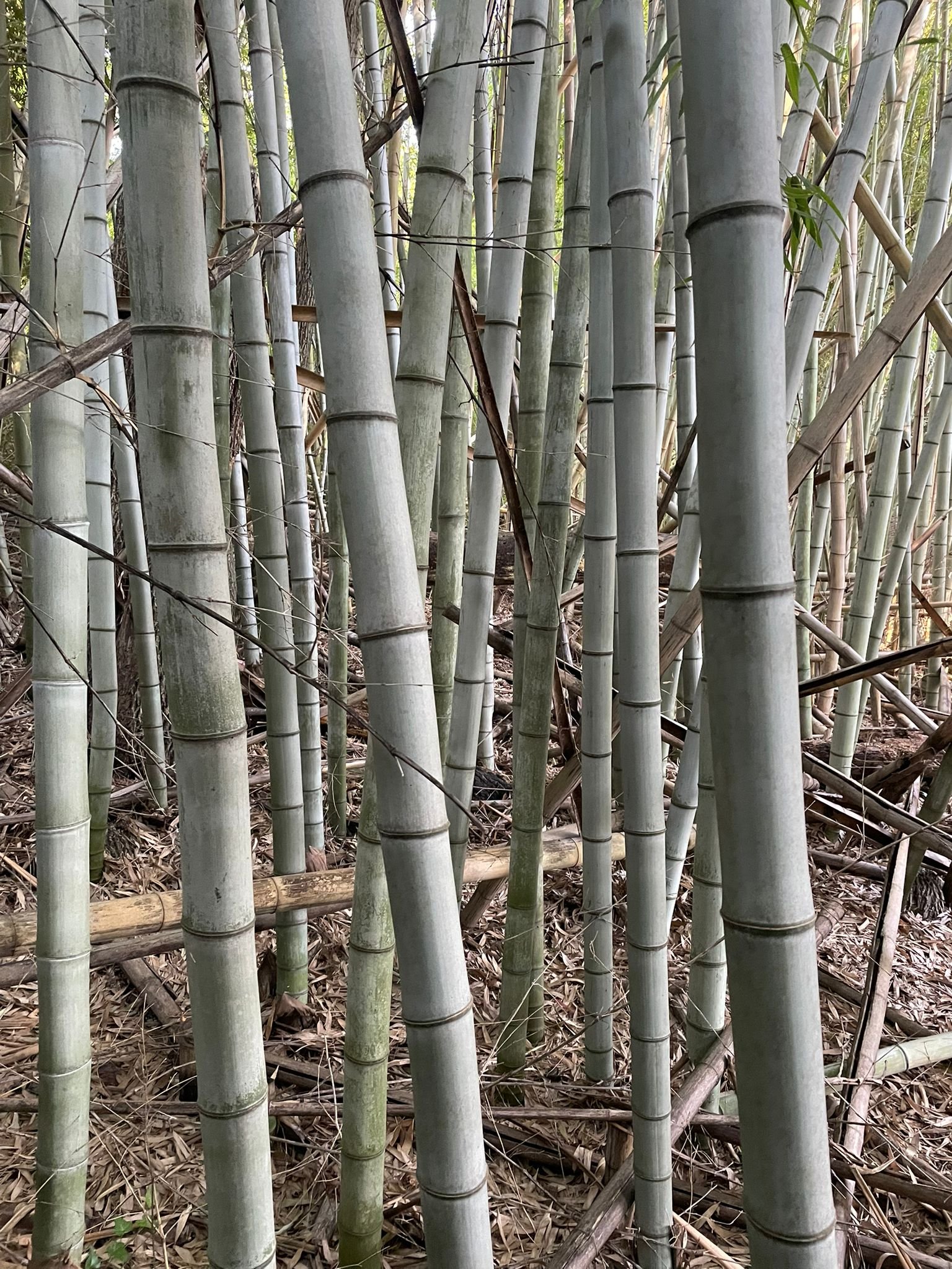 WhatsApp Image 2025-09-15 at 22.16.29_2abb3420.jpg