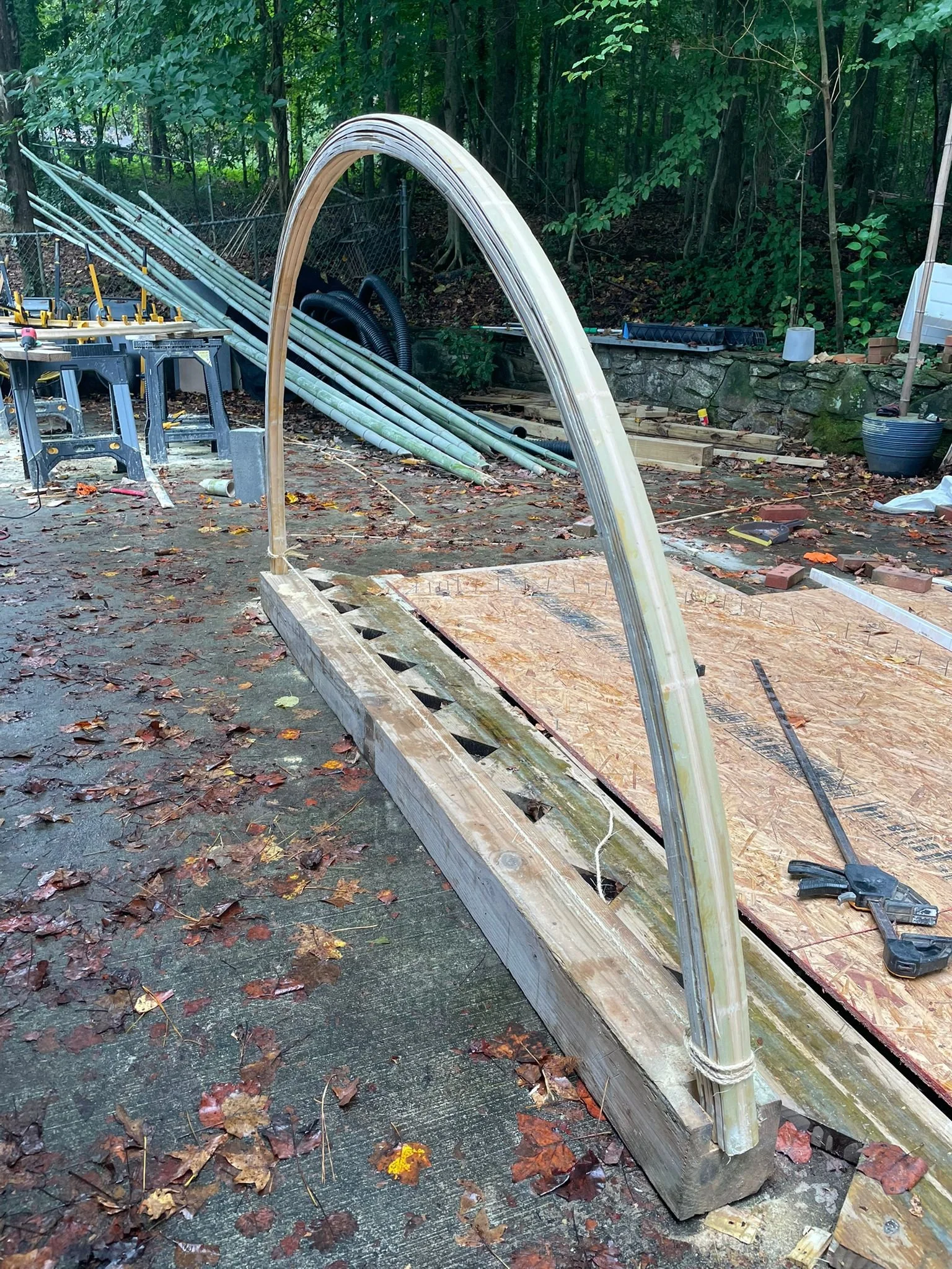 WhatsApp Image 2025-09-26 at 08.39.49_5845ddce.jpg