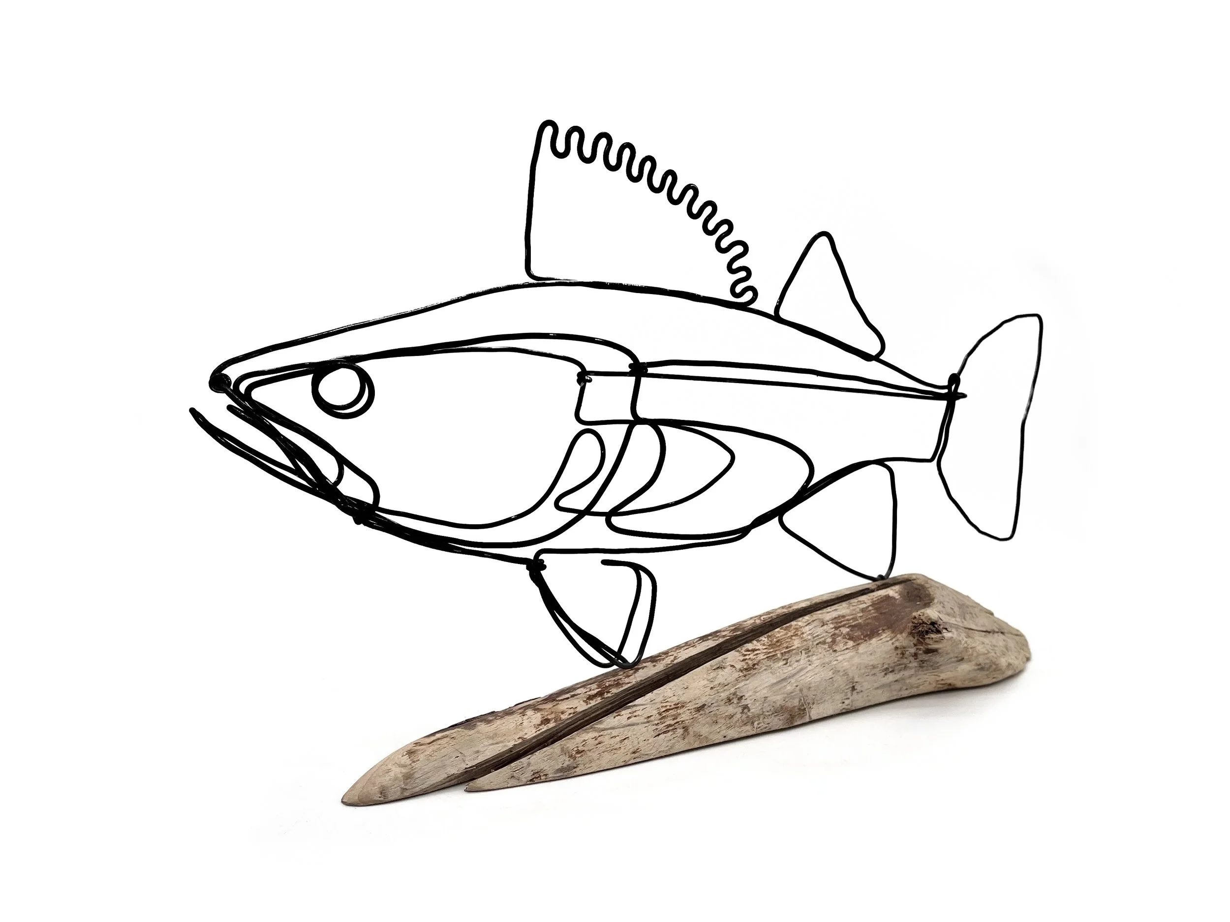 Keeper Walleye, Walleye Wire Sculpture, Folk Art, Minimalist Art