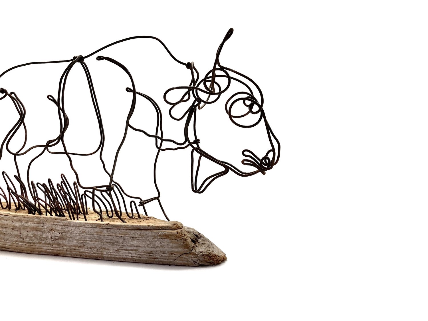 Buffalo Sculpture, Wire Art, Bison Art, One Continuous Line