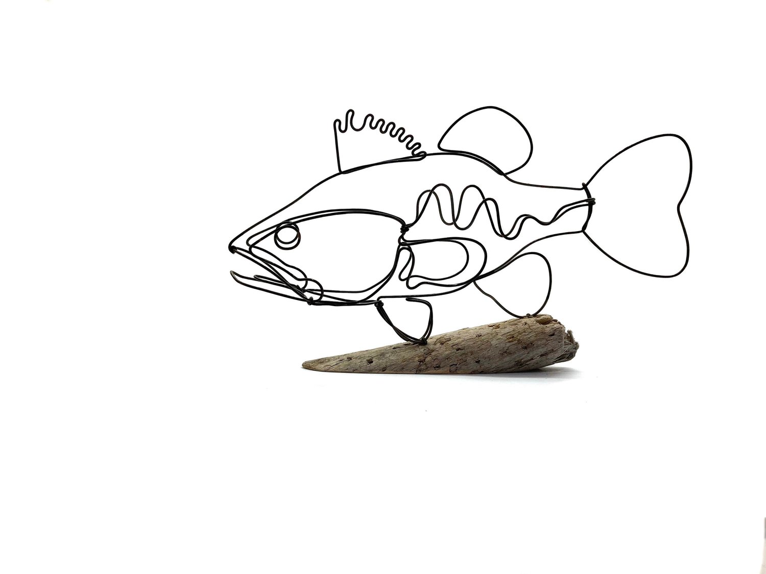 Bass Fish Sculpture, Fish Wire Art, Minimalist Design, Unique Gift! — Wired  by Bud