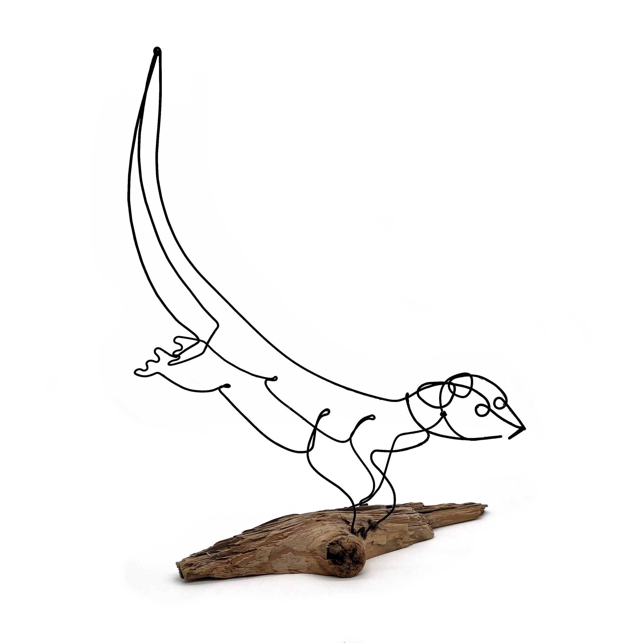 Otter Wire Sculpture, Otter Wire Art, Fun Gift, Free Shipping!