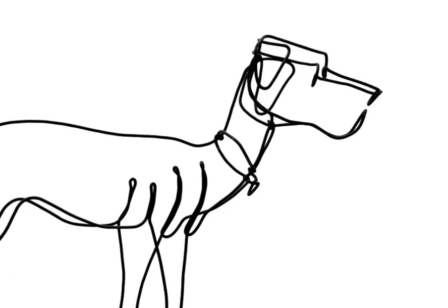 Screenshot 2025-11-02 at 10.00.13 AM.jpeg