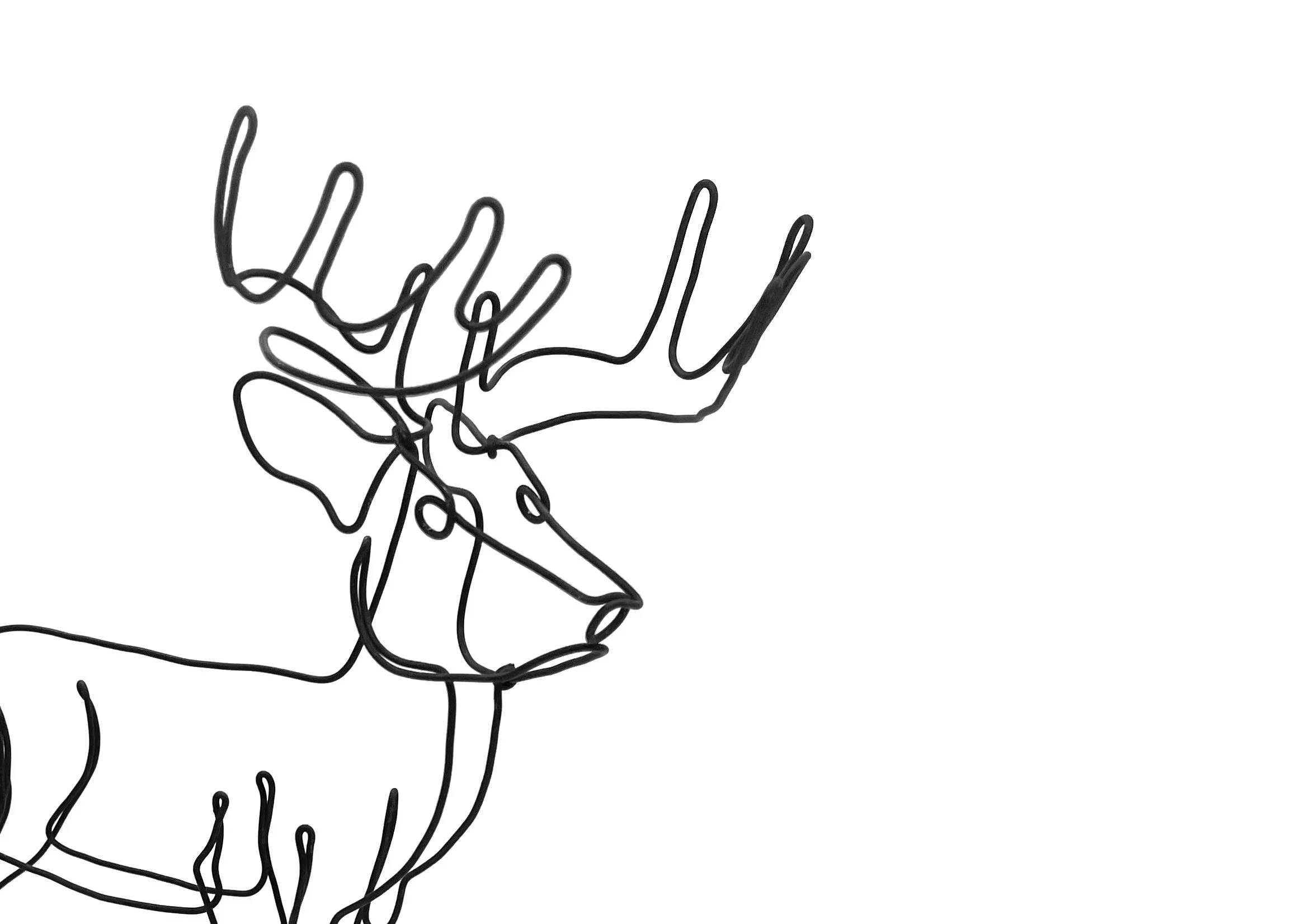 Buck Wire Sculpture, Deer Wire Art, Minimalist Art, One Line 3-D Sculpture, Free Shipping