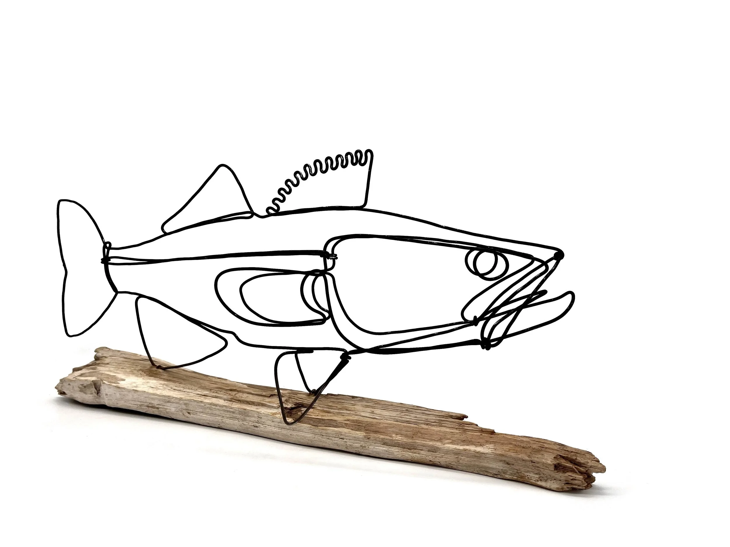 Keeper Walleye, Fish Sculpture, Walleye Wire Art, Unique Gift