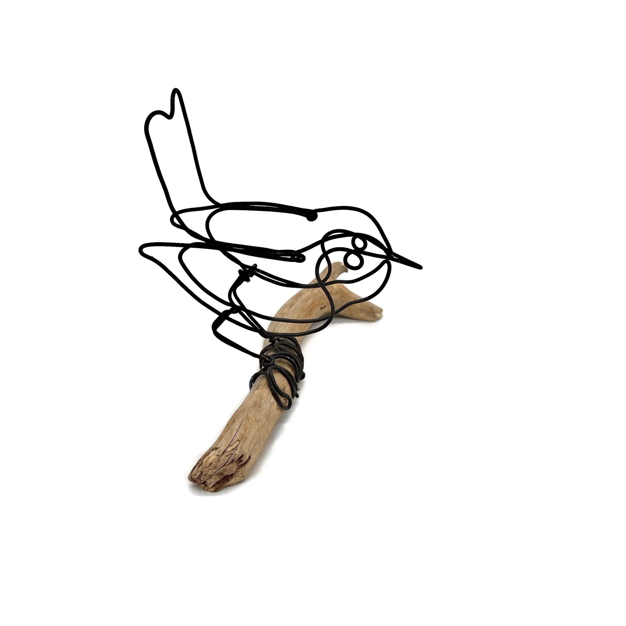 IMG_6370.jpeg
