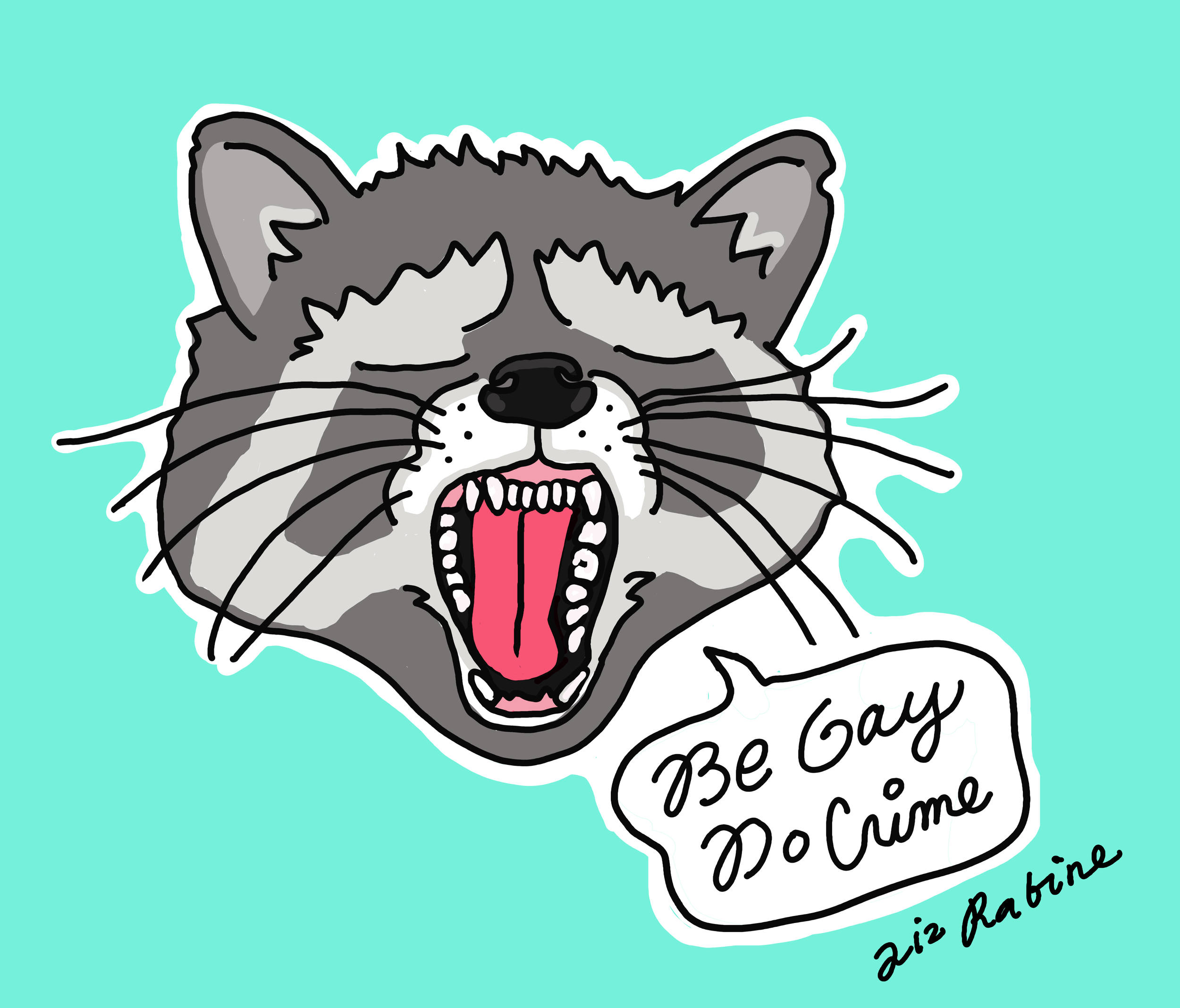 racoon.png