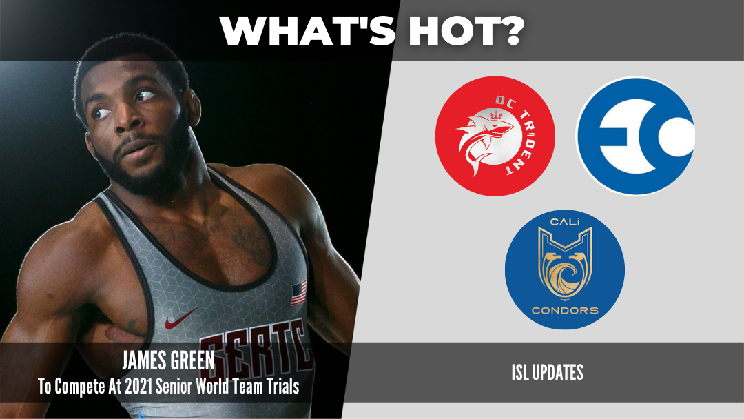 98 Newsletter - Whats Hot Graphic.png