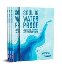 soul-is-waterproof-matthew-moseley.png