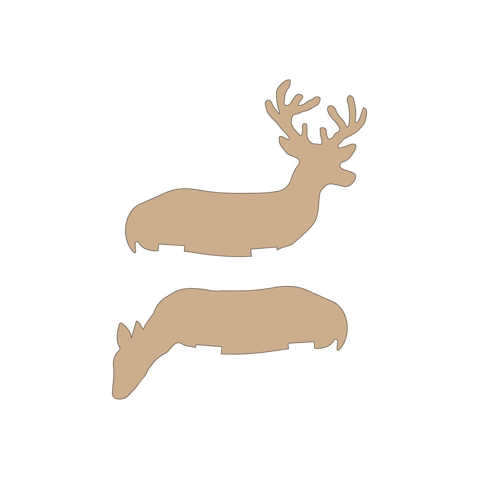 Buck &amp; Doe Bodies
