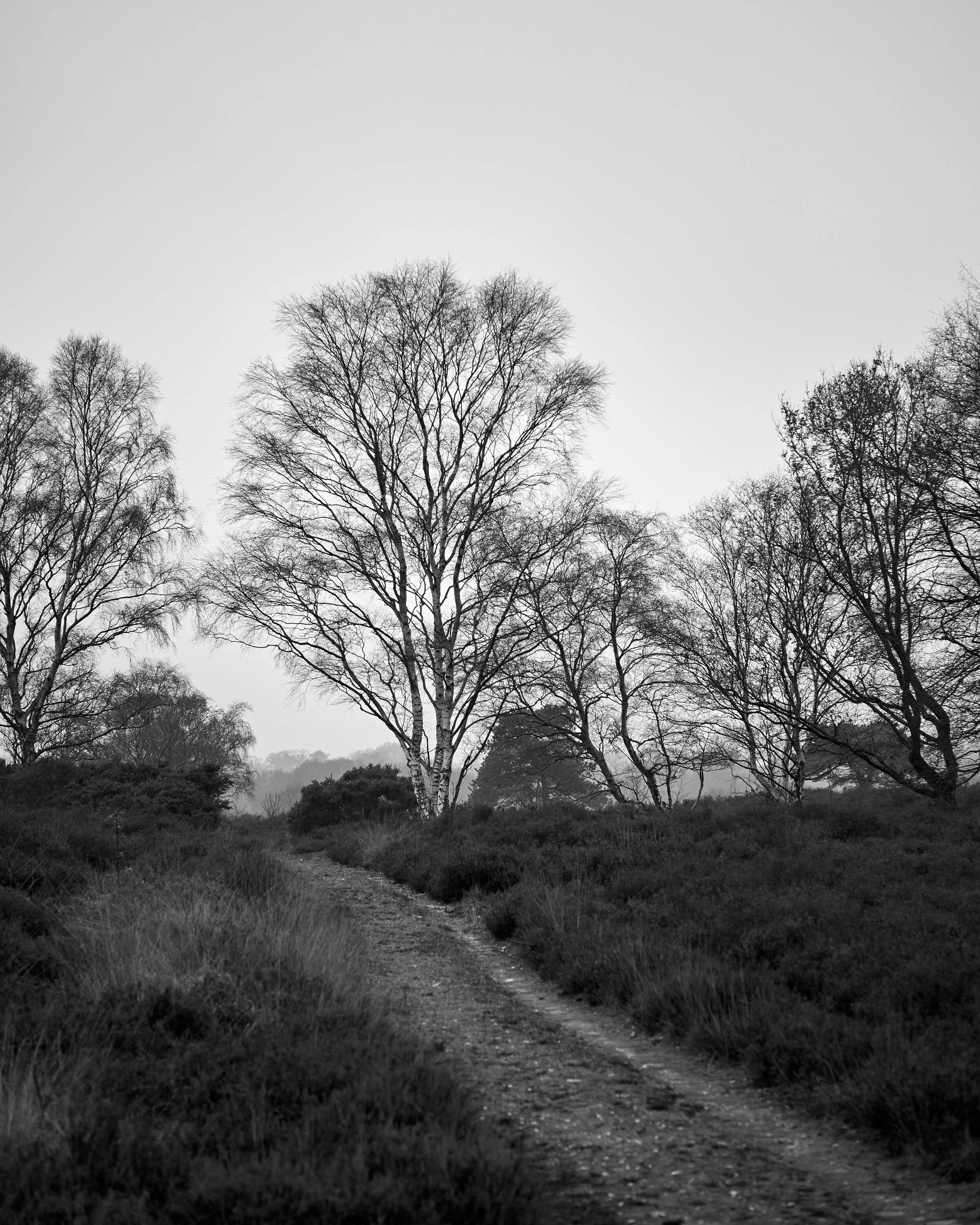Shooting The Fujifilm X Pro1 In Daniel Ian Professional Landscape Photography Suffolk Coast Uk