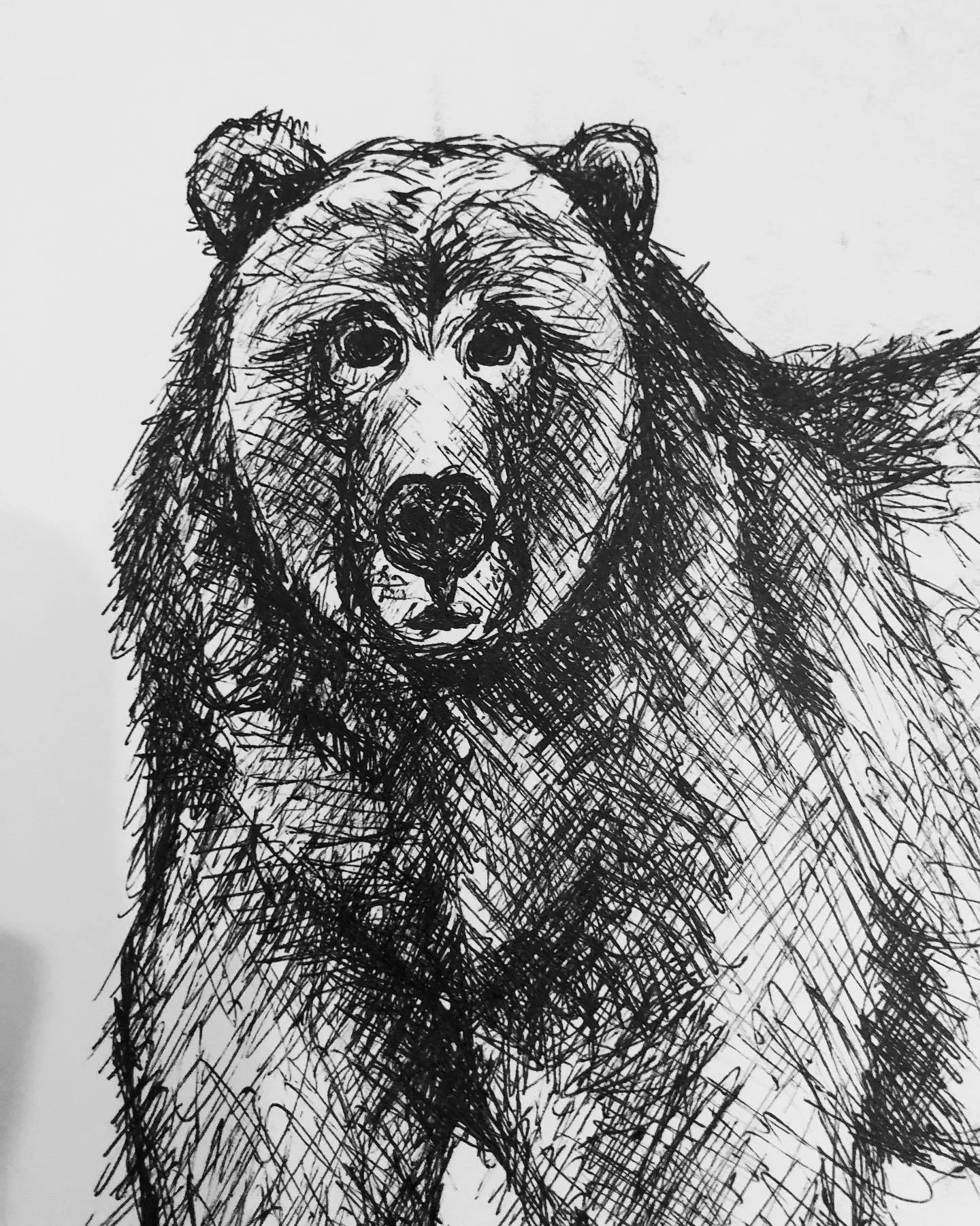 I spent most of the day on digital drawings. I don&rsquo;t mind drawing on my computer, but it&rsquo;s never as therapeutic as making something with my hands on paper.
#stepawayfromthescreen #drawing #bears #penandink #illustration