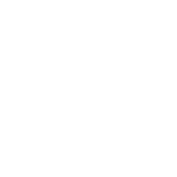 compudopt.png