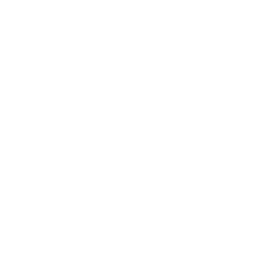 ymca-georgia.png