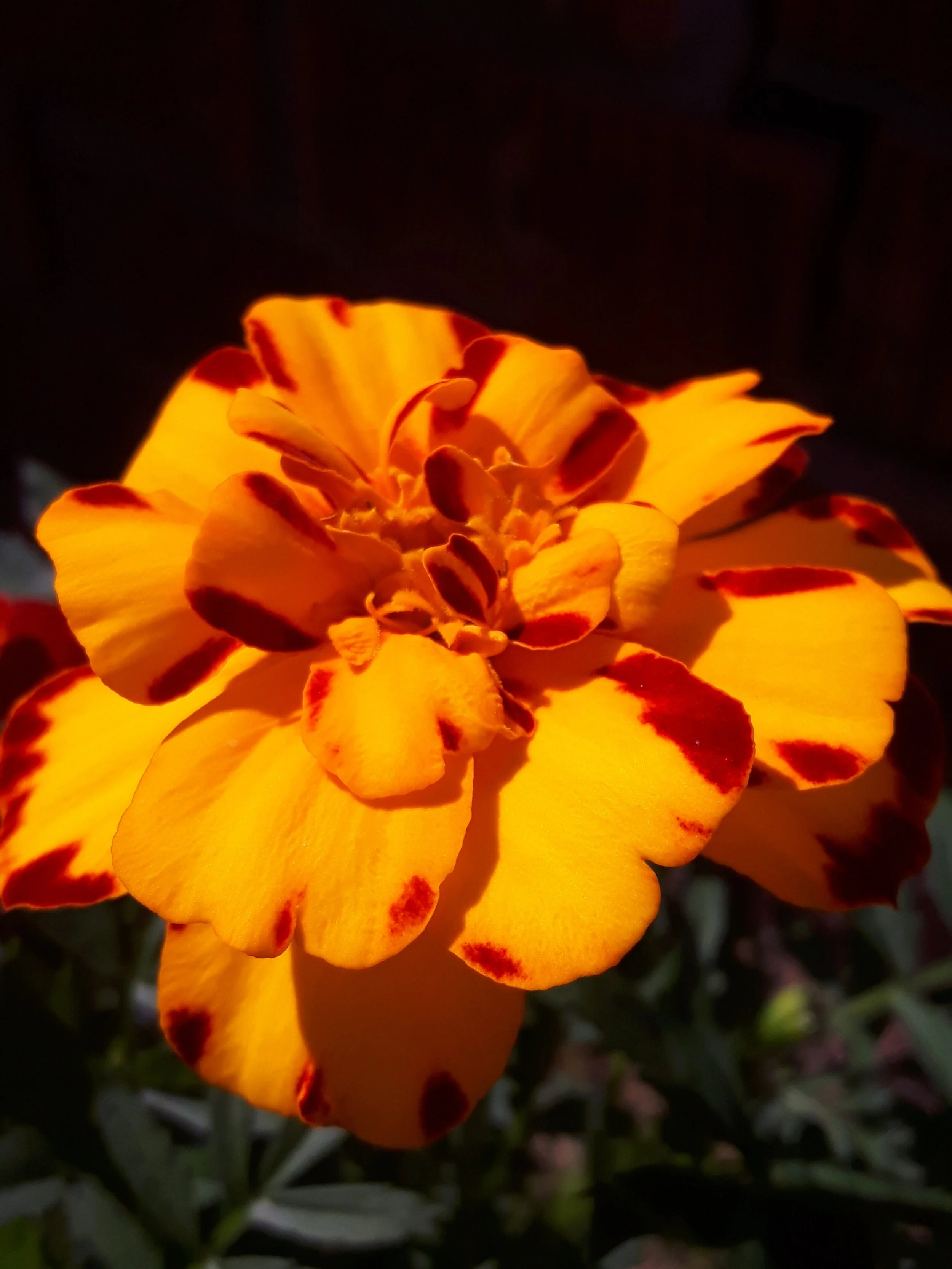 20180507_153503.jpg