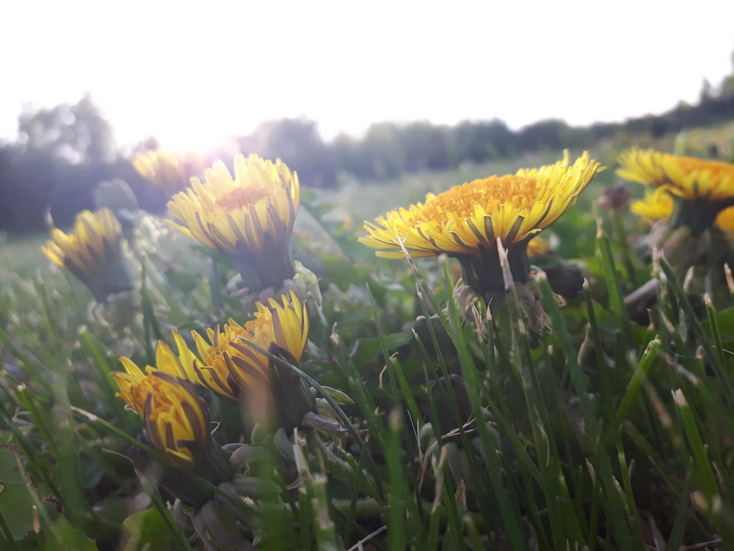 20170530_195632.jpg